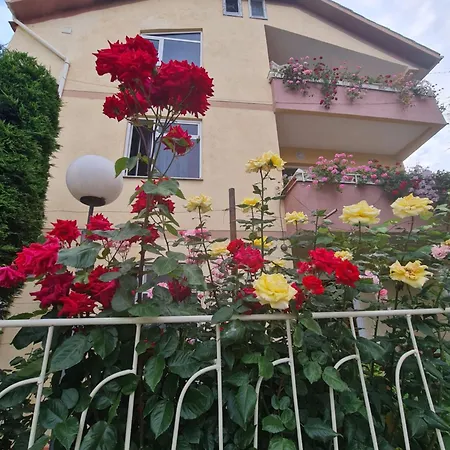 Apartment Topciu's Lake Appartments Pogradec